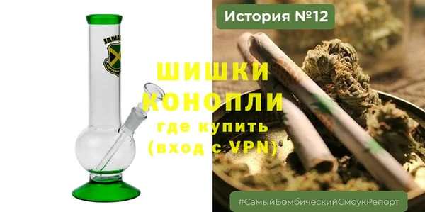ГАЛЛЮЦИНОГЕННЫЕ ГРИБЫ Арсеньев