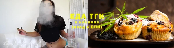 ГАЛЛЮЦИНОГЕННЫЕ ГРИБЫ Аркадак