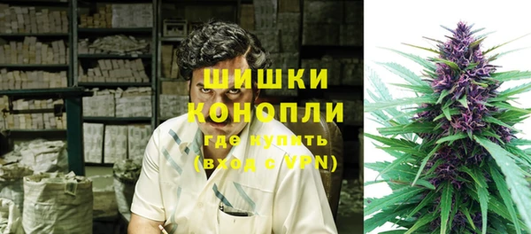 ГАЛЛЮЦИНОГЕННЫЕ ГРИБЫ Арсеньев