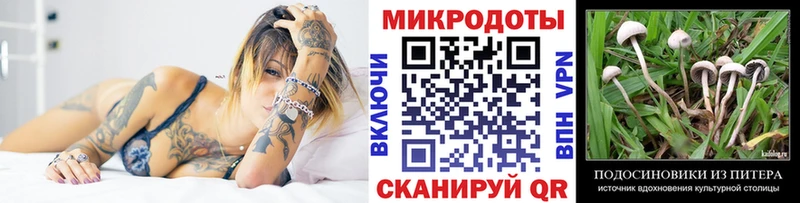 сколько стоит Слюдянка blacksprut вход Псилоцибиновые грибы Psilocybine cubensis